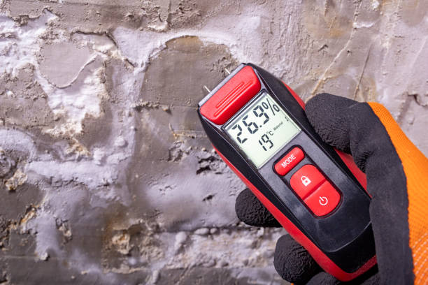 Best Residential Mold Removal  in Bradfordville, FL