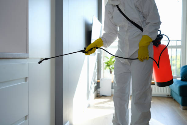 Best Same-Day Mold Removal  in Bradfordville, FL