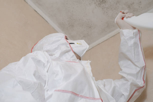 Best Toxic Mold Removal  in Bradfordville, FL